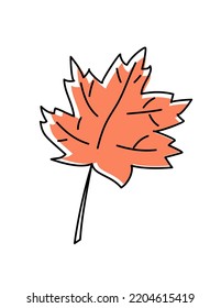 Doodle line drawing vector simple maple autumn leaf  Fall hand drawn botanical sketch  Modern minimalist art  For poster  web design 