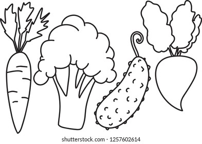 Doodle Line Garden vegetable set with carrot broccoli cucumber beet. Vector illustration