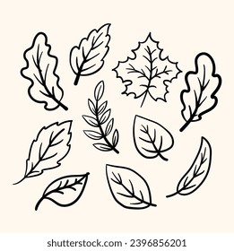 Doodle lineart of different tree leaves. background with cream color