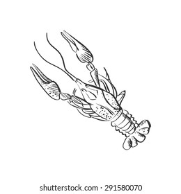 doodle lobster isolated on the white background, excellent vector illustration, EPS 10