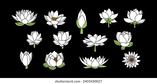 Doodle lotos rose flower with leaf clipart Hand drawn cartoon nature Vector stock illustration EPS 10