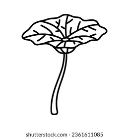 Doodle lotus leaf doodle hand drawn botanical illustration with line art style on white background.