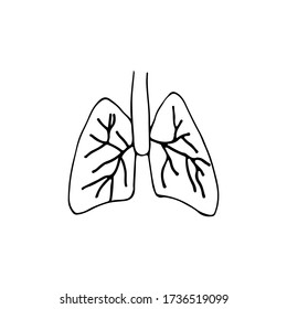 Doodle lungs icon in vector. Hand drawn lungs icon. Medical icon. 