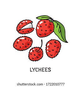 Doodle lychees isolated on white background. Vector illustration. Design element for greeting card, poster, leaflet, sticker, booklet, cover.