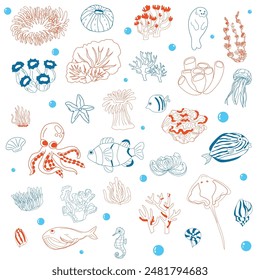 Doodle Marine Life Illustration for Kids.