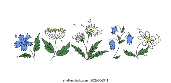 Flores en el prado de Doodle. Iconos de colores Dandelion, Chamomile, campana. Gráficos vectoriales. Fondo aislado.
