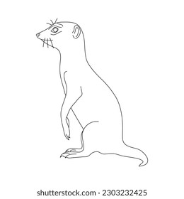 Doodle of Meerkat. Hand drawn vector illustration.