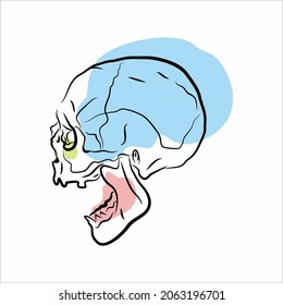 doodle and minimalistic coloring on human skull