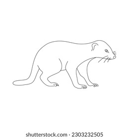 Doodle de Mongoose. Ilustración vectorial dibujada a mano.