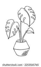 Doodle de monstera deliciosa en olla. Ilustración vectorial dibujada a mano de la planta interior aislada sobre fondo blanco.