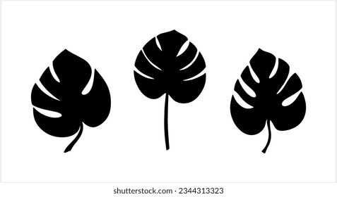 Clíparte de hoja Doodle monstera aislada. Ilustración del material vectorial de esténcil dibujado a mano. EPS 10