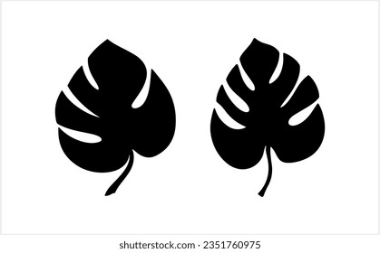 Doodle monstera leaf clipart isolated. Hand drawn stencil vector stock illustration. EPS 10