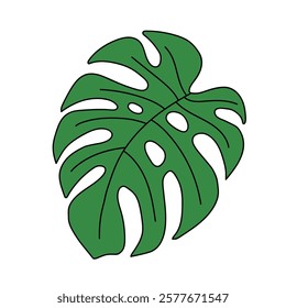 Doodle monstera leaf line art illustration. Leaf of Monstera plant tropical coloring pages for kids. Monstera leaf of tropical plant vector. Summer worksheets for kids activity printable.