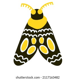 Doodle moth with ornament on wings isolated on white