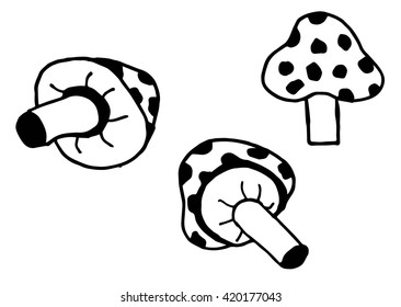 Doodle of mushroom drawing