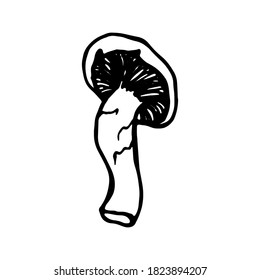 Doodle mushroom. Hand drawn monochrome ink illustration. Vector forest mushroom on white background. Design for culinary books, seasonal menu, prints.