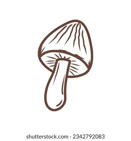 Doodle mushroom illustration. Autumn vector hand drawn color icon