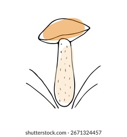 Doodle cogumelo em fundo isolado.Vetor ilustração outono.