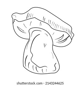 Doodle mushroom set. Cute bio line art collection. Black vector on white backround.