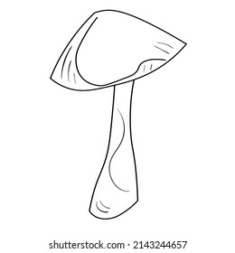 Doodle mushroom set. Cute bio line art collection. Black vector on white backround.