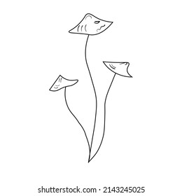 Doodle mushroom set. Cute bio line art collection. Black vector on white backround.