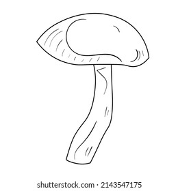 Doodle mushroom set. Cute bio line art collection. Black vector on white background.