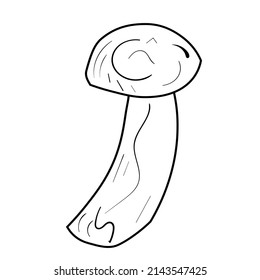 Doodle mushroom set. Cute bio line art collection. Black vector on white background.