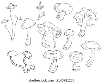 Doodle mushroom set. Cute bio line art collection. Black vector on white backround.