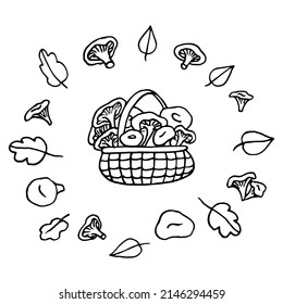 Doodle mushrooms, decor set. Vector collection of various species of edible mushrooms and basket with mushrooms isolated on white. 