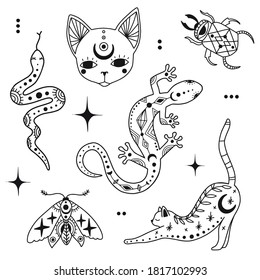 Doodle mystic set with magic elements. Outline animals, insects. Cats, bug, moth, snake. Boho abstract line art collection. Witch symbols. Hand drawn illustrations for tattoo, cards, Halloween decor