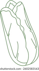 Doodle Napa Cabbage Vector Illustration