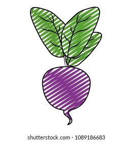 doodle natural beet with leaves organic vegetable
