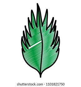 doodle nature botanic leaf tropical plant