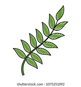 doodle nature plant branch with leaves design