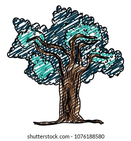 doodle nature tree with branches exotic leaves