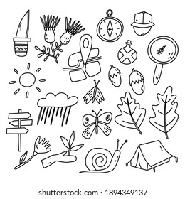 doodle nature vector isolated illustration, ideal for print