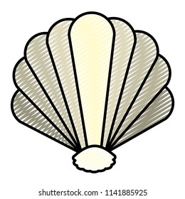 doodle nice natural shell style of sea