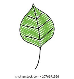 doodle nice nature leaf style of plant