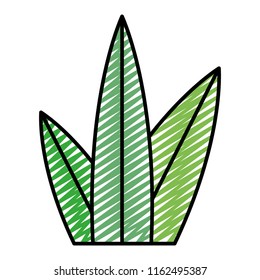 doodle nice plant with exotic leaves design