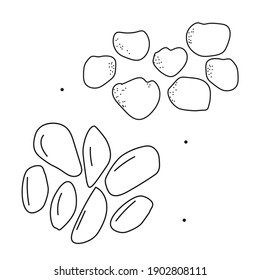 Doodle nuts. Vegetables. Isolated on a white background.
