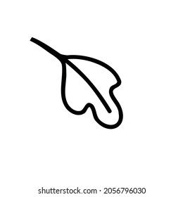 Doodle Oak Leaf isolated on white background. Detailed vector illustration of hand drawn autumn leaf. Vintage retro fall seasonal decor. Hand drawn oak leaf. Eco icon.