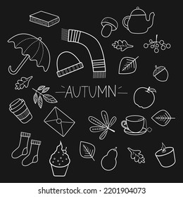 Doodle on the autumn theme, suitable for printing, set of collections, vector illustrations, black and white, monochrome. Banner, print. Chalk effect.