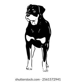 Doodle One Line Drawn Rottweiler . Black Curve Rottweiler dog, vector sketch