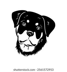 Doodle One Line Drawn Rottweiler . Black Curve Rottweiler dog, vector sketch