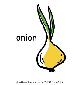 Doodle onion icon with its name. Hand drawn sketch logo of vegetable. Isolated vector illustration in doodle line style.
