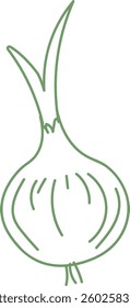 Doodle Onion Vegetable Vector Illustration