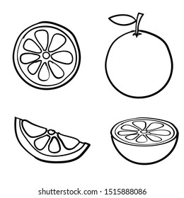 doodle orange fruit illustration collection vector