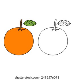 Doodle naranja con hoja de Vector aislado. Dibujo para colorear fruta de naranja. Colorear fruta de naranja. Libro para colorear para niños. Lindo dibujo de dibujos animados para colorear naranja para niños. Hoja de trabajo para kindergarten.