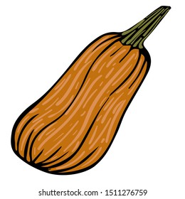 doodle orange pumpkin black line sketch isolated vector illustration for design and decoration