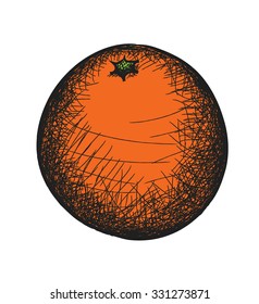 doodle orange, vector illustration 
